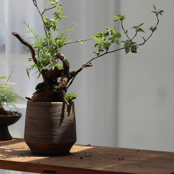 Vintage Scrub Style Ceramic Floor Vases