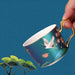 Golden Rim Animal Pattern Ceramic Coffee Cup Set-4